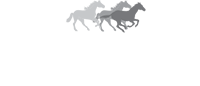 Pacesetter Homes logo white