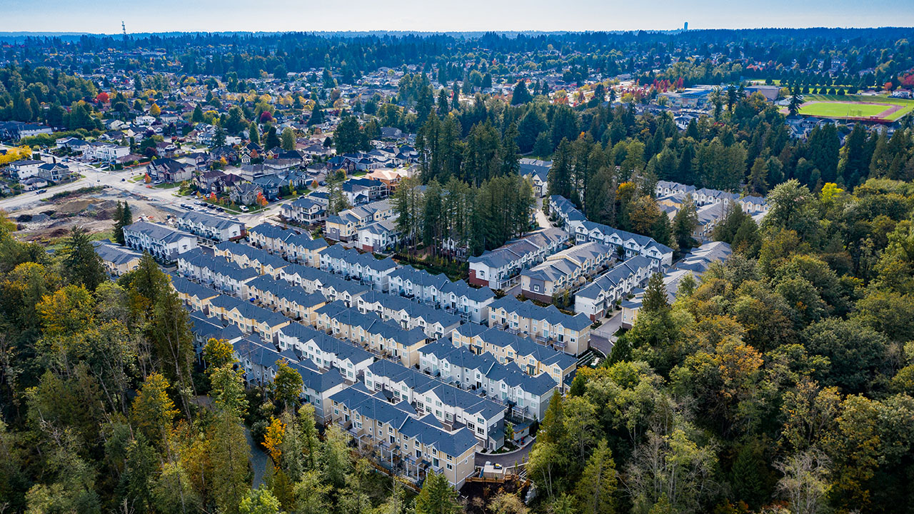 Canopy | Aerial View | Surrey