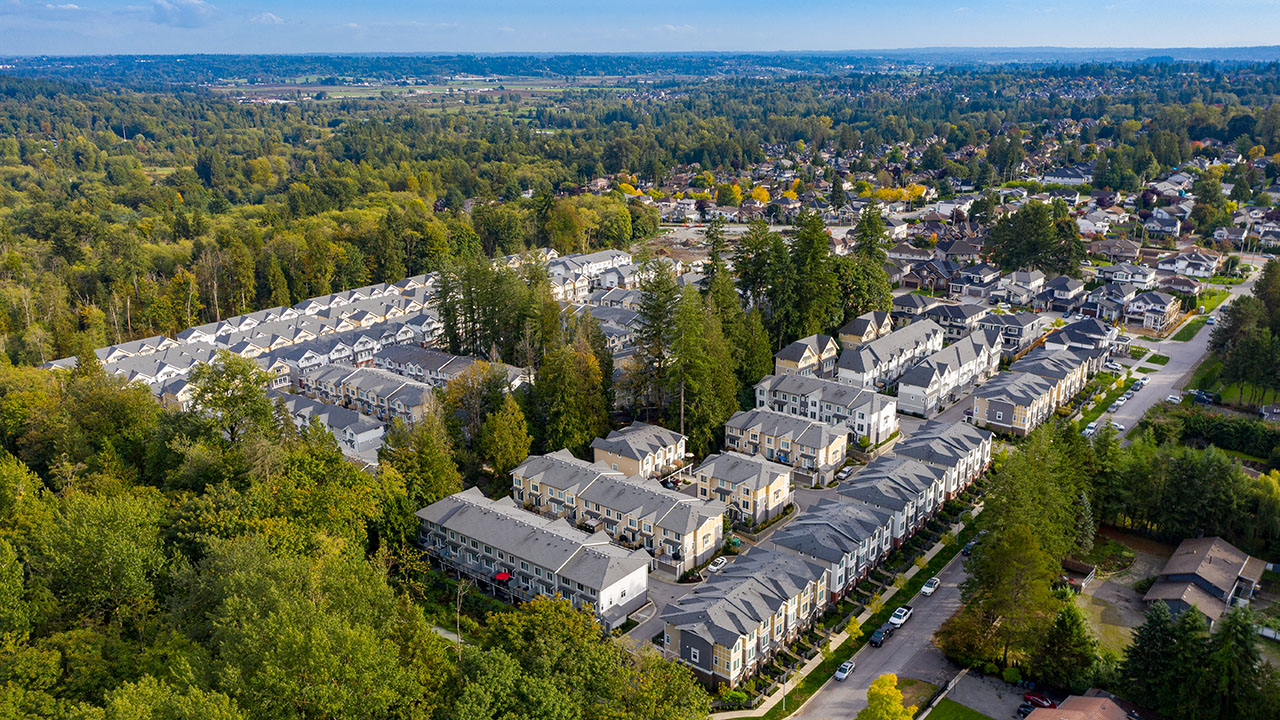 Canopy | Aerial View | Surrey