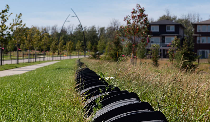 Qualico Communities | Edmonton | Amphibian Fence