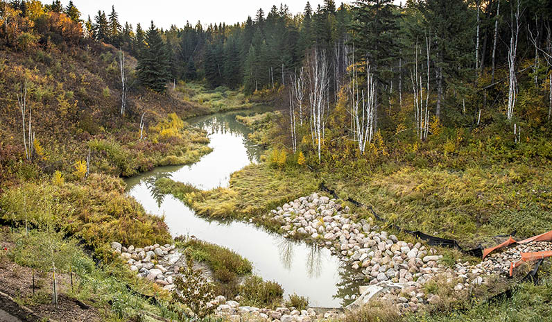 Qualico Communities | Edmonton | Creek