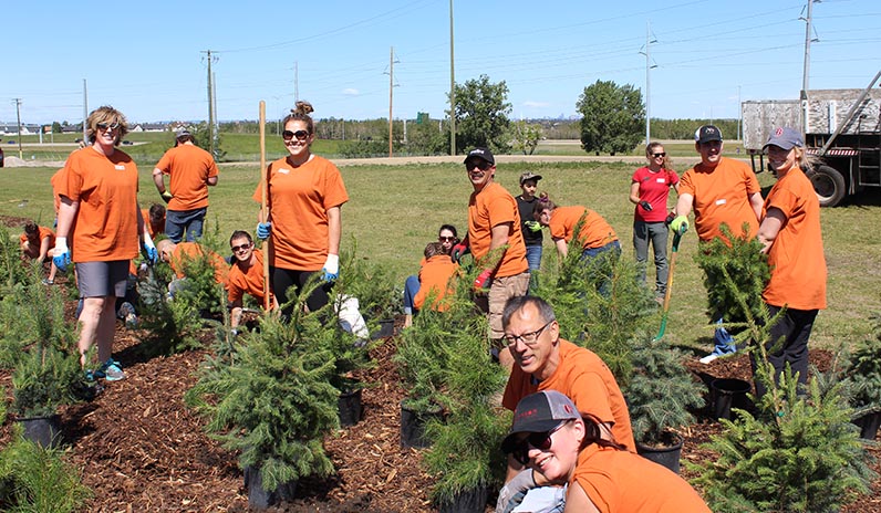 GroupPlantingTrees-1