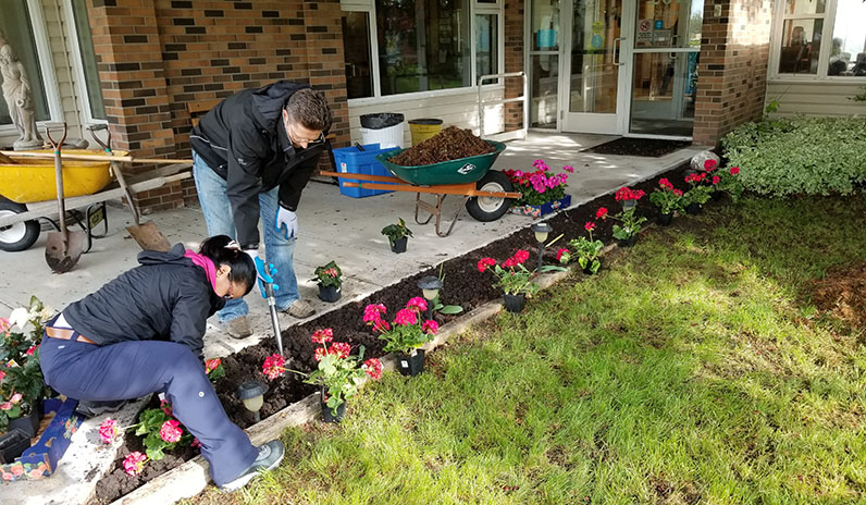 planting front walkway