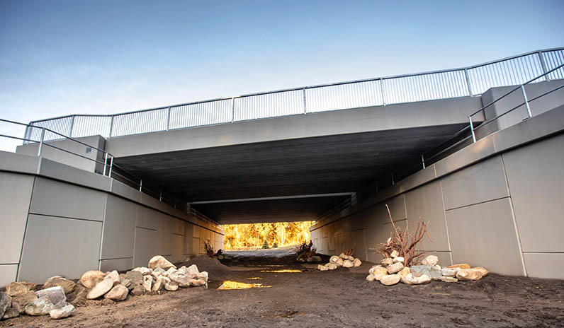 Qualico Communities | Edmonton | Wildlife Crossing