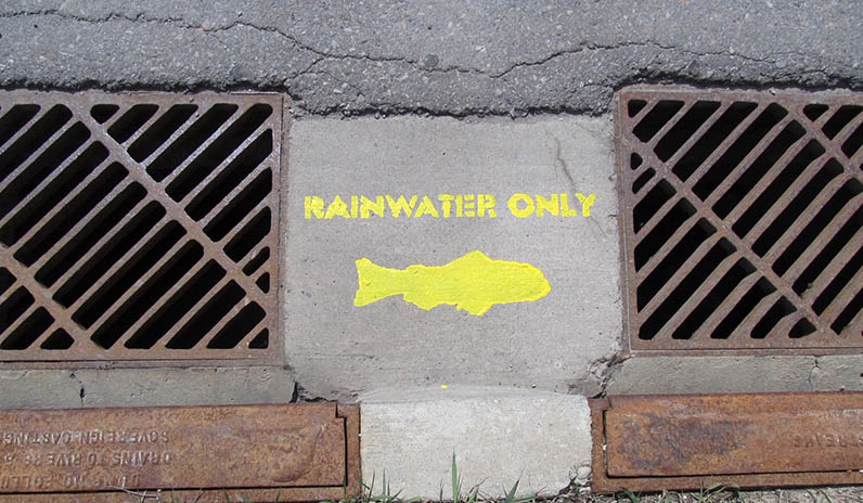 Qualico Communities | Edmonton | Yellow Fish Program